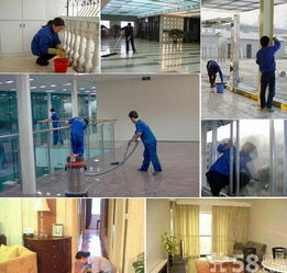 專業(yè)家庭室內(nèi)清掃保潔與鐘點(diǎn)工服務(wù)解析