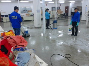 全方位保潔服務(wù) 從開(kāi)荒到托管，為您打造潔凈空間