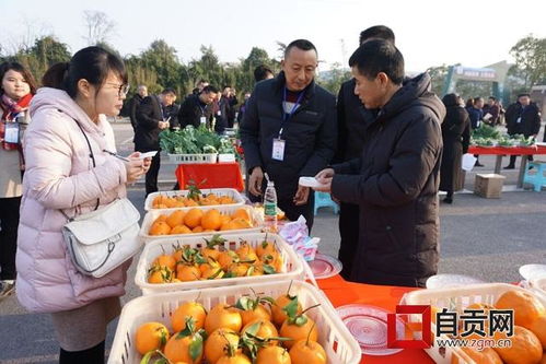 田園榮州 誰家果蔬種得好，擺個擂臺賽一賽
