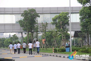 HTC上海工廠實探 員工停工月余，拿萬元遣散費成“好果田”
